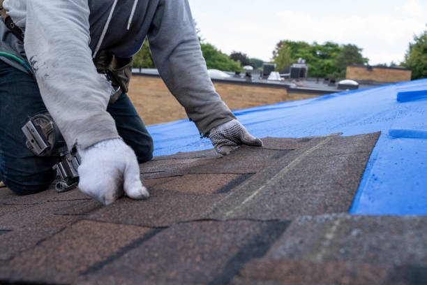 Best Roof Leak Repair  in Channahon, IL
