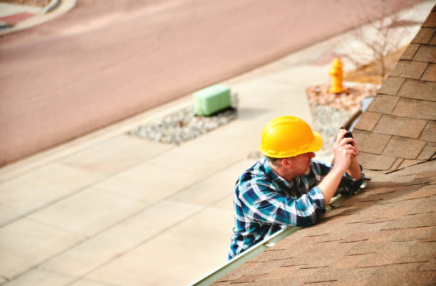 Best Roof Gutter Cleaning  in Channahon, IL