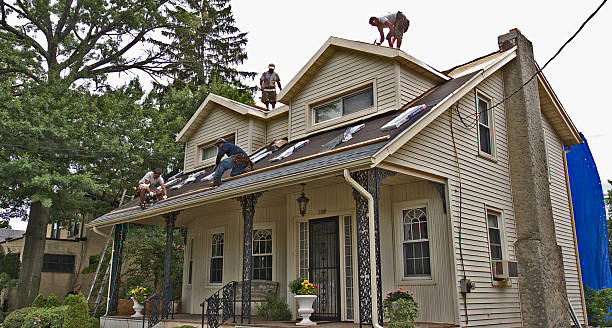 Best Roof Repair Specialists  in Channahon, IL
