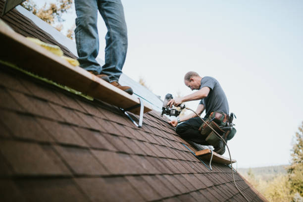 Best Storm Damage Roof Repair  in Channahon, IL